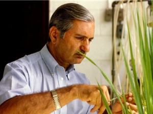 GS. Gurdev Singh Khush, Giải Đặc biệt VinFuture 2023: Muốn dùng tiền thưởng để phát triển tương lai của ngành khoa học lúa gạo